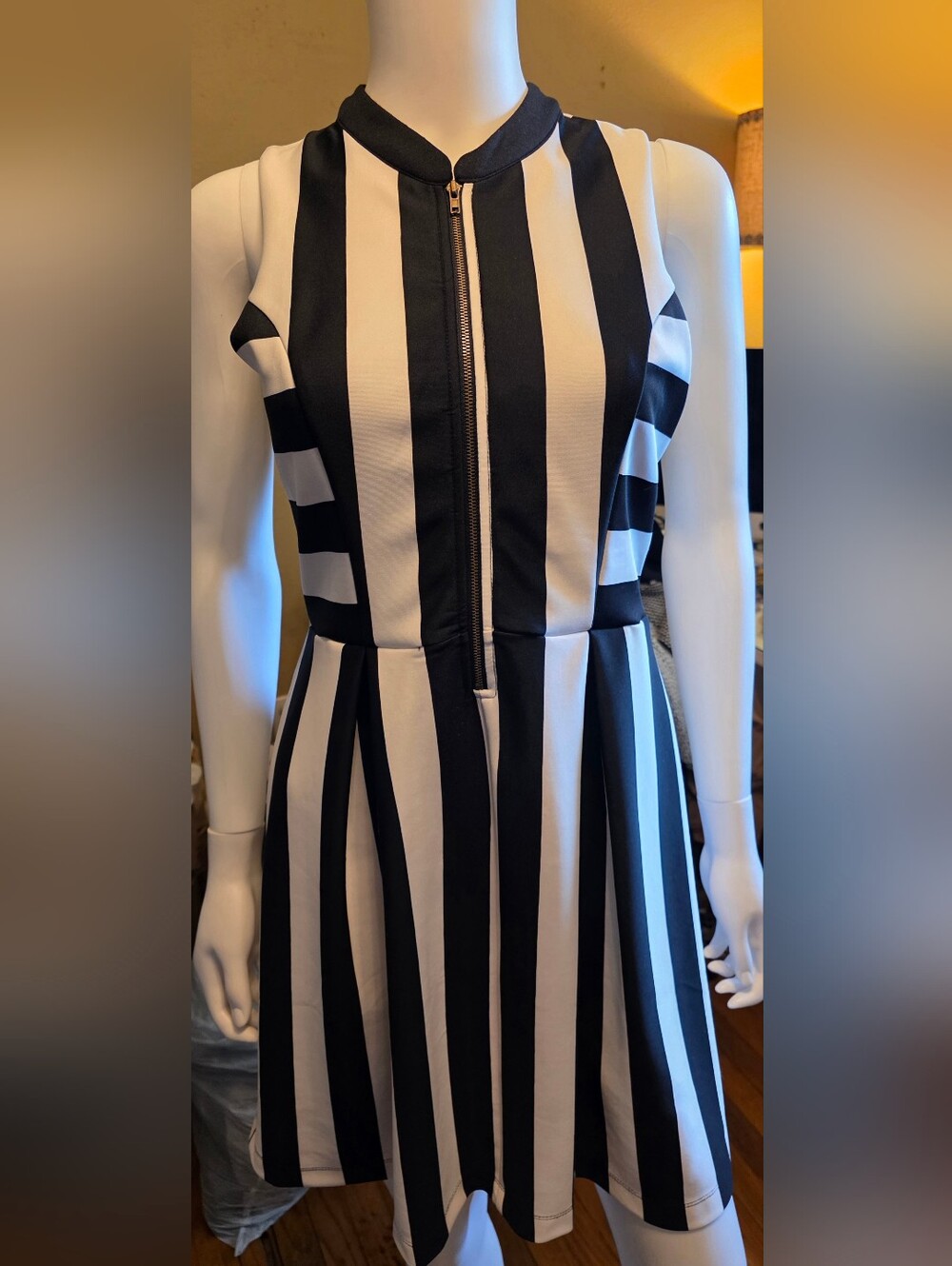 Black & White Vertical Stripe Sleeveless Dress with Front Zip